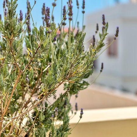 Island Of Luxury Apartments Ermoupoli Exterior foto