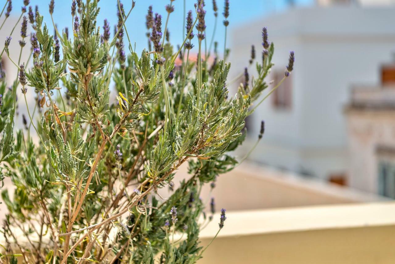 Island Of Luxury Apartments Ermoupoli Exterior foto